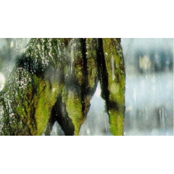 Soğutma Sistemleri İçin Biosit 25KG