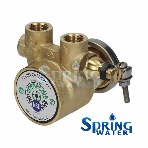 İtalyan Rotoflow 600 L/H Bypasslı Bronz Rotoflow Pompa